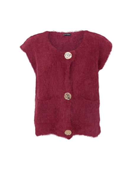 BCBJOERK KNITTED VEST PLUM