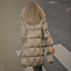 MMNOVA METALLIC JACKET BRINDLE