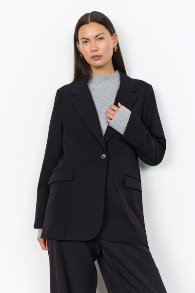 SC-ANN 2 BLAZERS